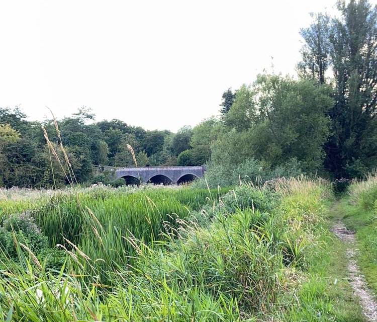 Preview of Short river wensum walk