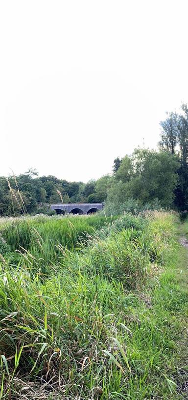 Preview of Short river wensum walk