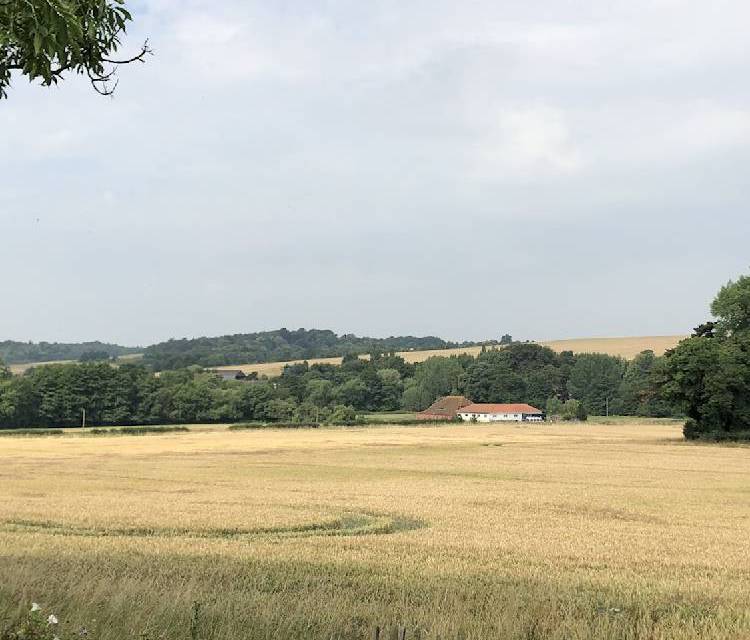 Preview of Lavender, Fields, Wine & Dine Days