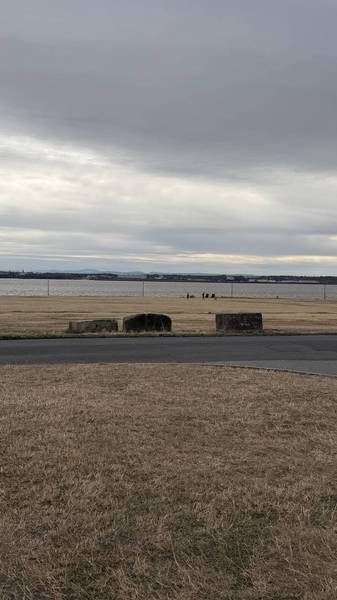 Preview of Mersey Views at Otterspool Prom