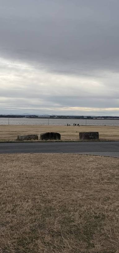 Preview of Mersey Views at Otterspool Prom