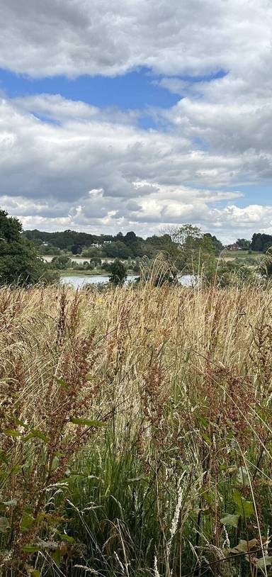 Preview of Meandering Around Martlesham