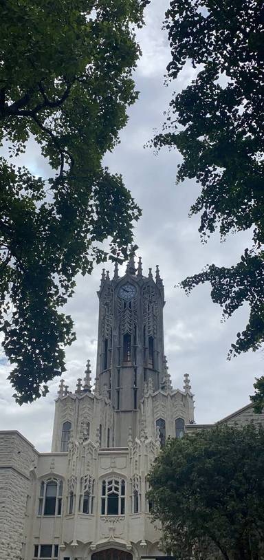 Preview of WALKEE-Princes Street