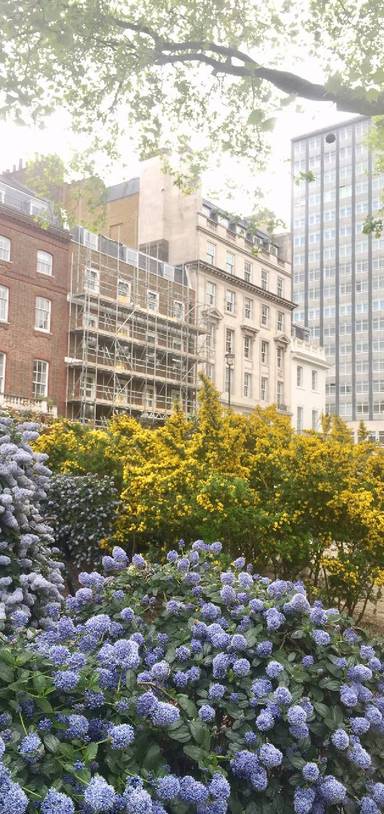 Preview of Walk Great Portland St to Oxford St