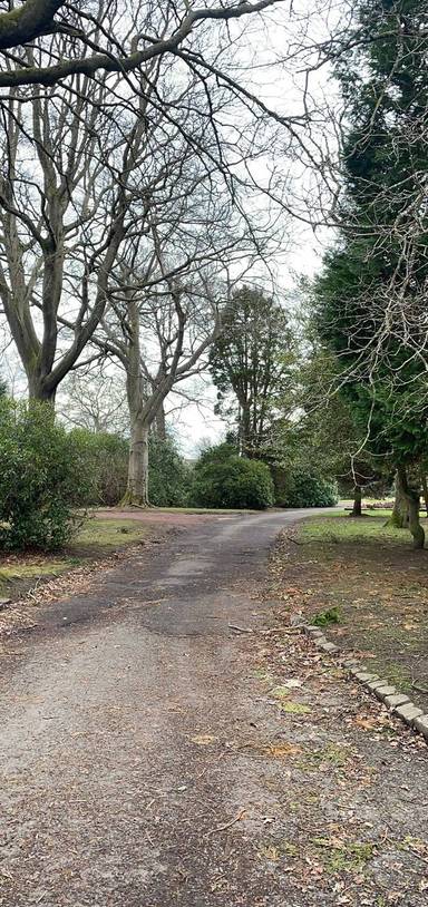 Preview of A stroll round Bothwell Road Park