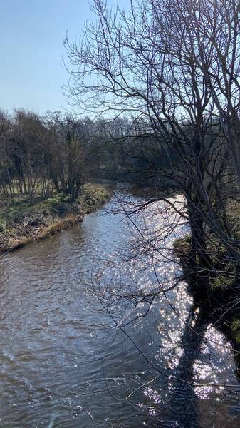 Preview of River Esk Walkway to Town Centre