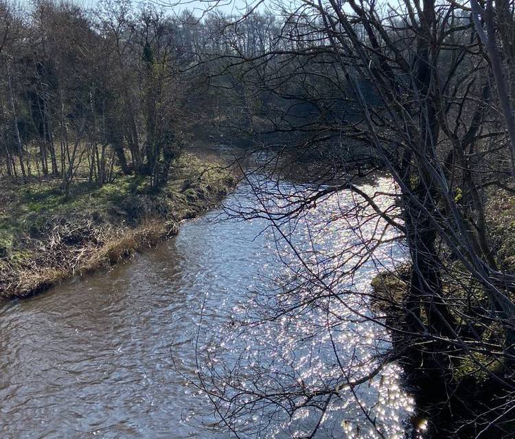 Preview of River Esk Walkway to Town Centre