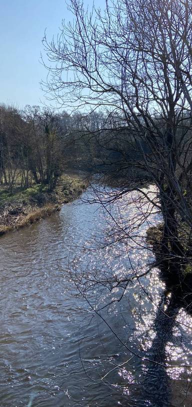 Preview of River Esk Walkway to Town Centre