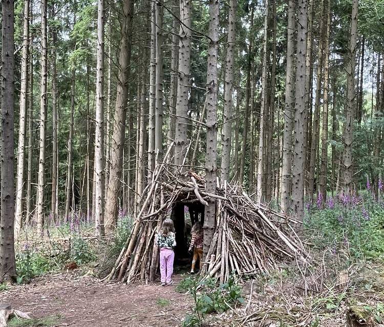 Preview of Yat Rock Forest Walk