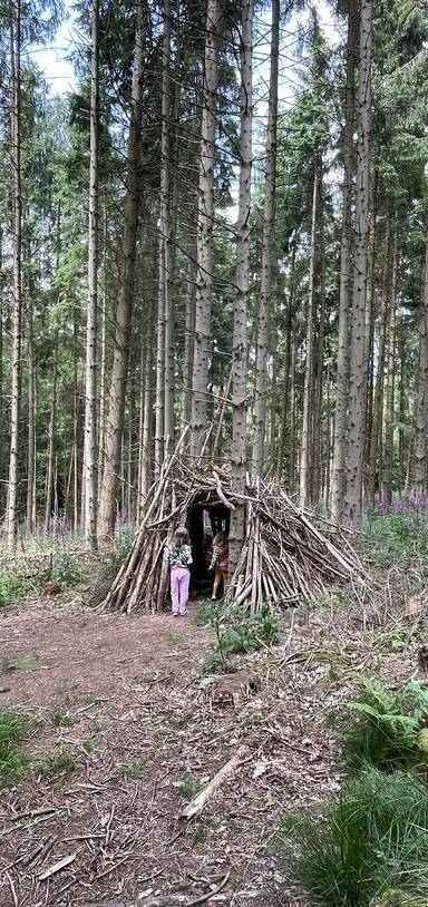 Preview of Yat Rock Forest Walk