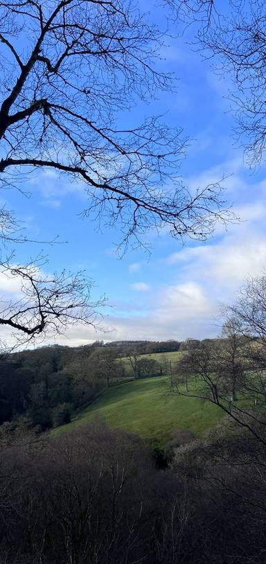 Preview of The Vindolanda Views Trail