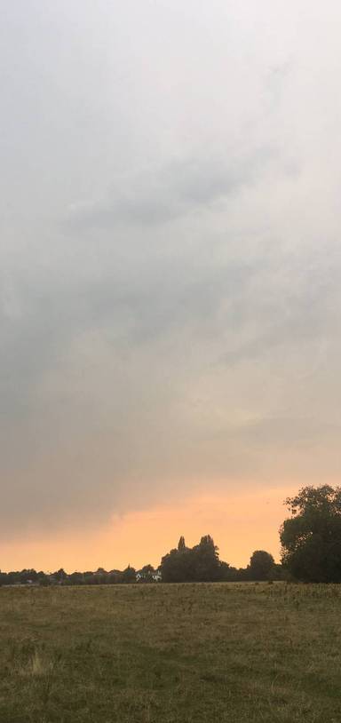 Preview of DarwinWelfare: Nature at Midsummer