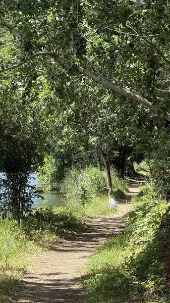 Preview of Wallingford- Dorchester Thames Path