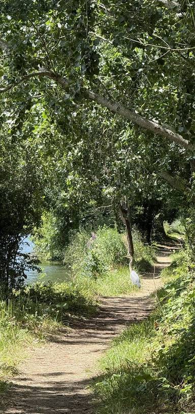 Preview of Wallingford- Dorchester Thames Path