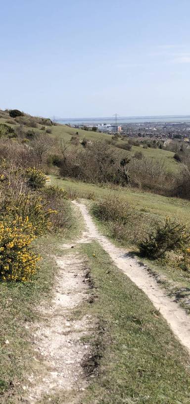 Preview of Chalk Pit hill walk