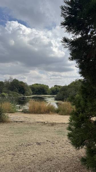 Preview of Circuit of Peatmoor Lagoon, Swindon