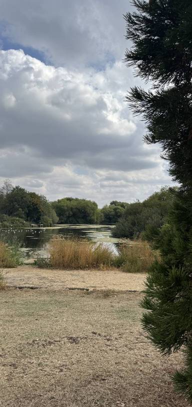 Preview of Circuit of Peatmoor Lagoon, Swindon