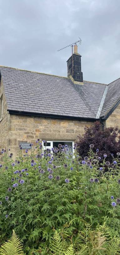 Preview of Lovely Lesbury & the River Aln