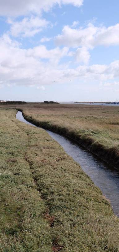 Preview of Burnham & Creeksea Walk