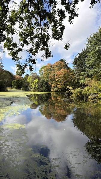 Preview of The Birkenhead Park Grand Tour