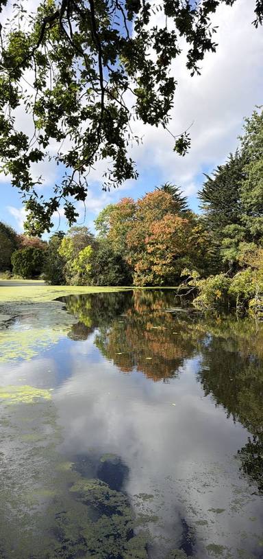 Preview of The Birkenhead Park Grand Tour