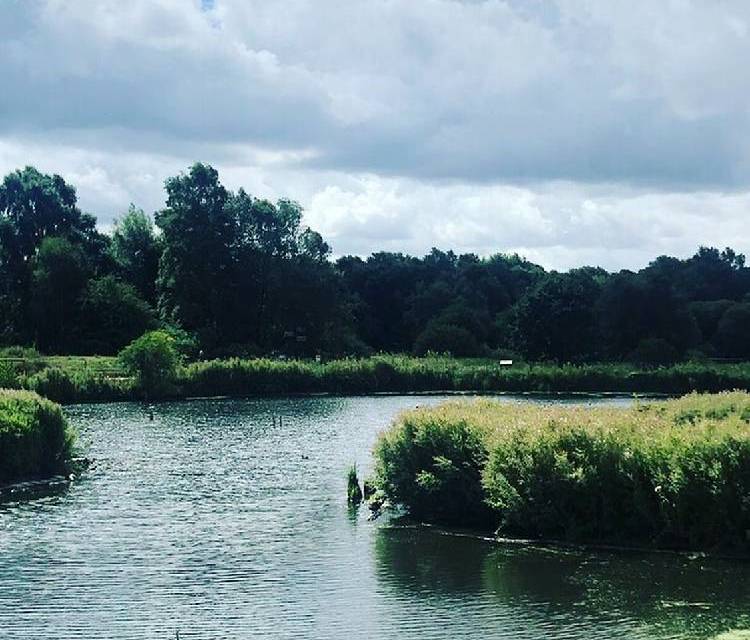 Preview of Day out at Pensthorpe Natural Park