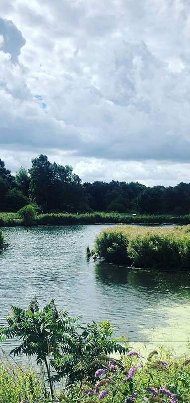 Preview of Day out at Pensthorpe Natural Park