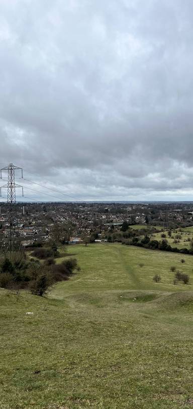 Preview of The Blow Downs Bimble