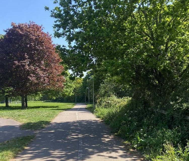 Preview of The Mincinglake Walk - Clockwise