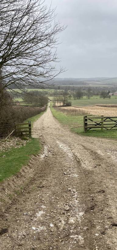 Preview of Circular walk around Godmersham