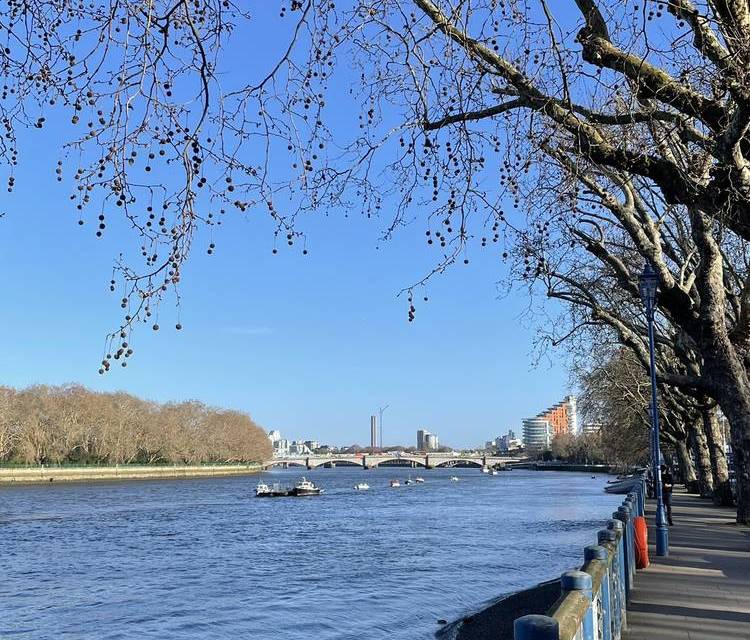 Preview of Putney & Thames Path Step-free
