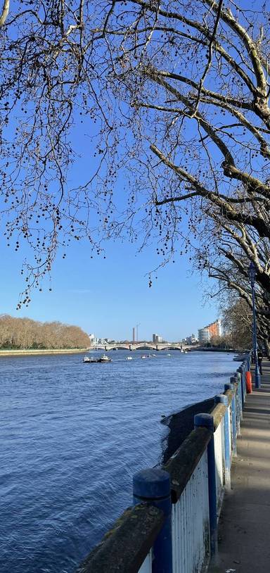 Preview of Putney & Thames Path Step-free
