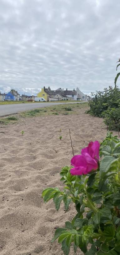 Preview of Amble the Allonby Coast - Step Free