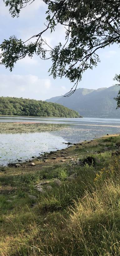 Preview of Bassenthwaite Lake