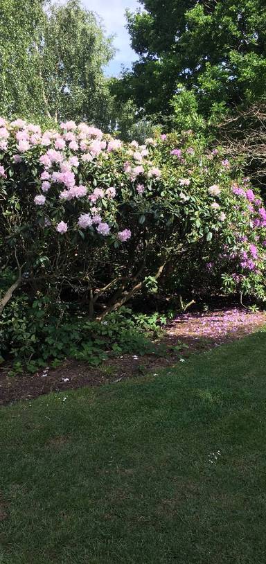 Preview of Dulwich Park Wander