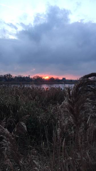 Preview of Woodberry Wetlands sunset walk 