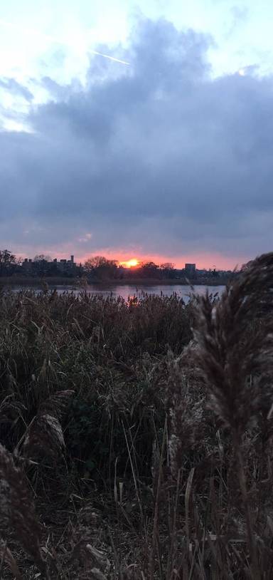 Preview of Woodberry Wetlands sunset walk