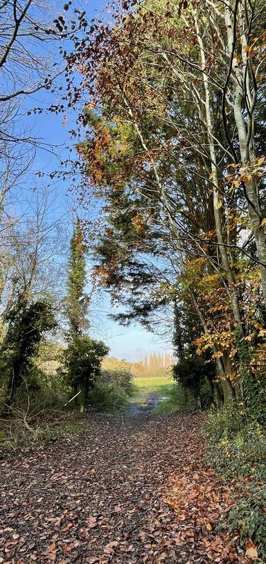 Preview of Stocking up on urban nature