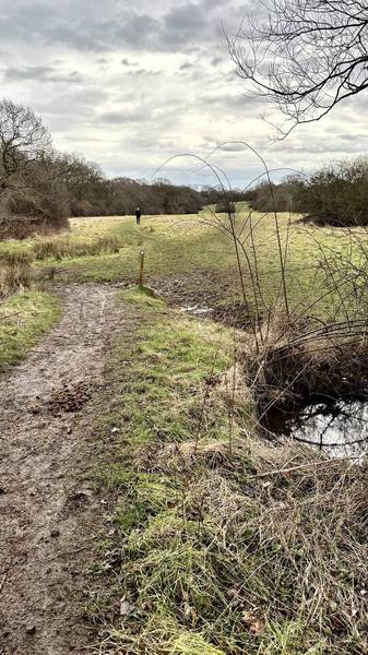 Preview of London Loop Section 19