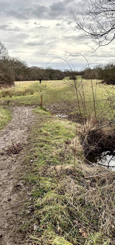 Preview of London Loop Section 19