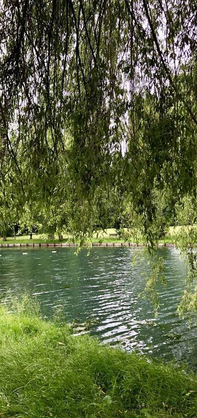 Preview of Beddington Park Life Adventures