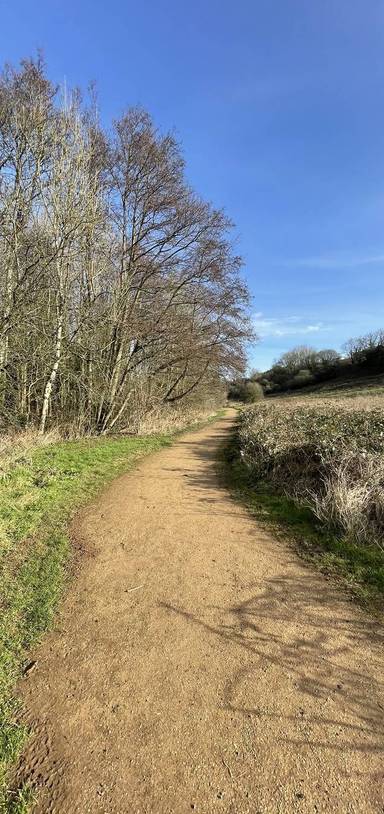 Preview of Midsomer Town Park step-free