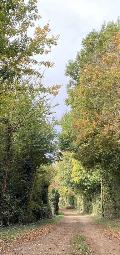 Preview of Horley Circular Walk