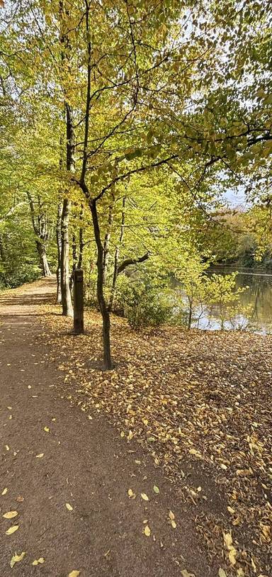 Preview of London Loop Section 17