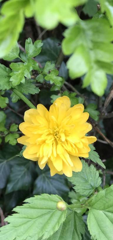 Preview of Health Route in East Oxford!