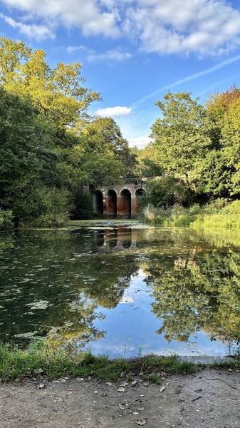 Preview of A circuit of Hampstead Heath ponds