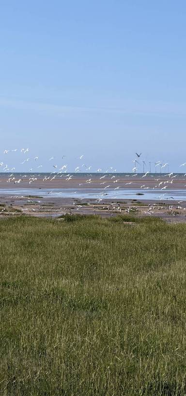 Preview of Queens Park & Meols Parade Walk