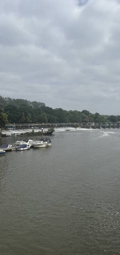 Preview of Thames Walk 2 Teddington to Kew