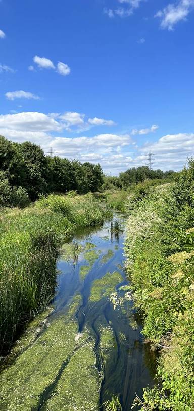 Preview of Roding Valley Way