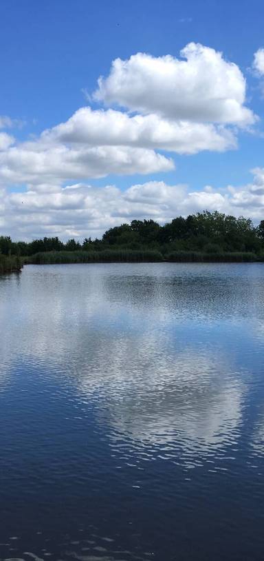 Preview of A Mindfulness Walk Near Worcester 